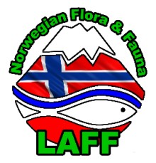 03052017 LAFF logo